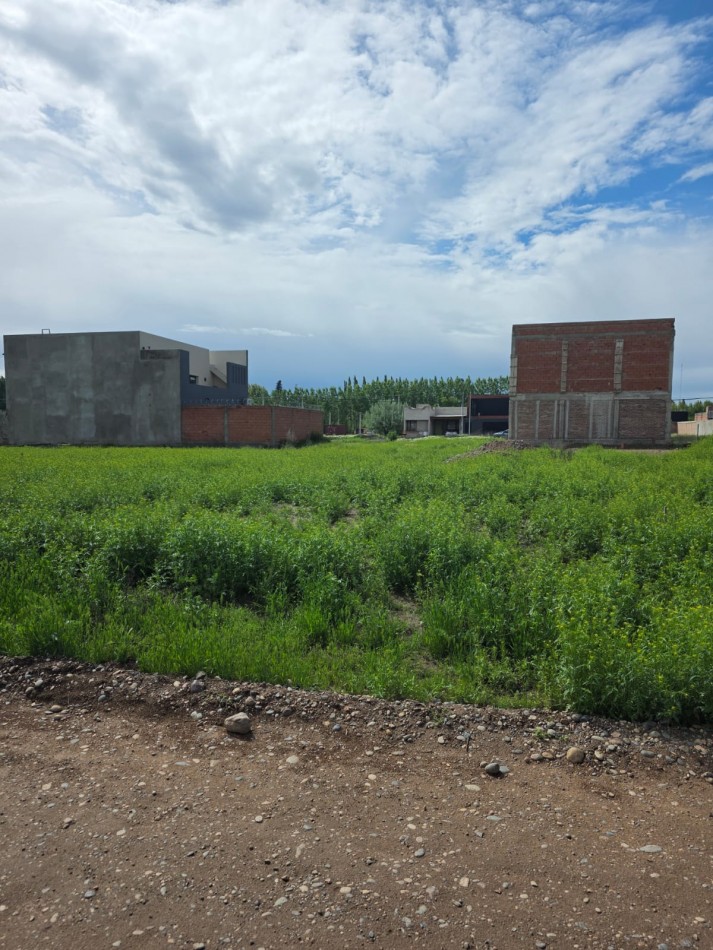 Lote en Venta - Pomona y Los Incas - Barrio Confluencia