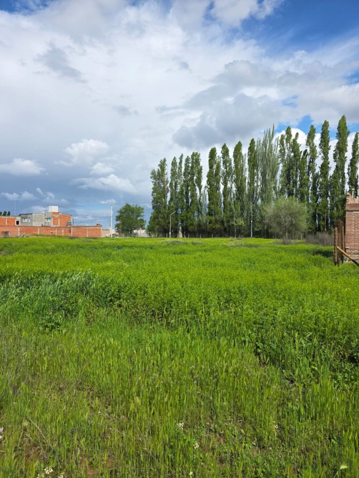 Lote en Venta - Pomona y Los Incas - Barrio Confluencia