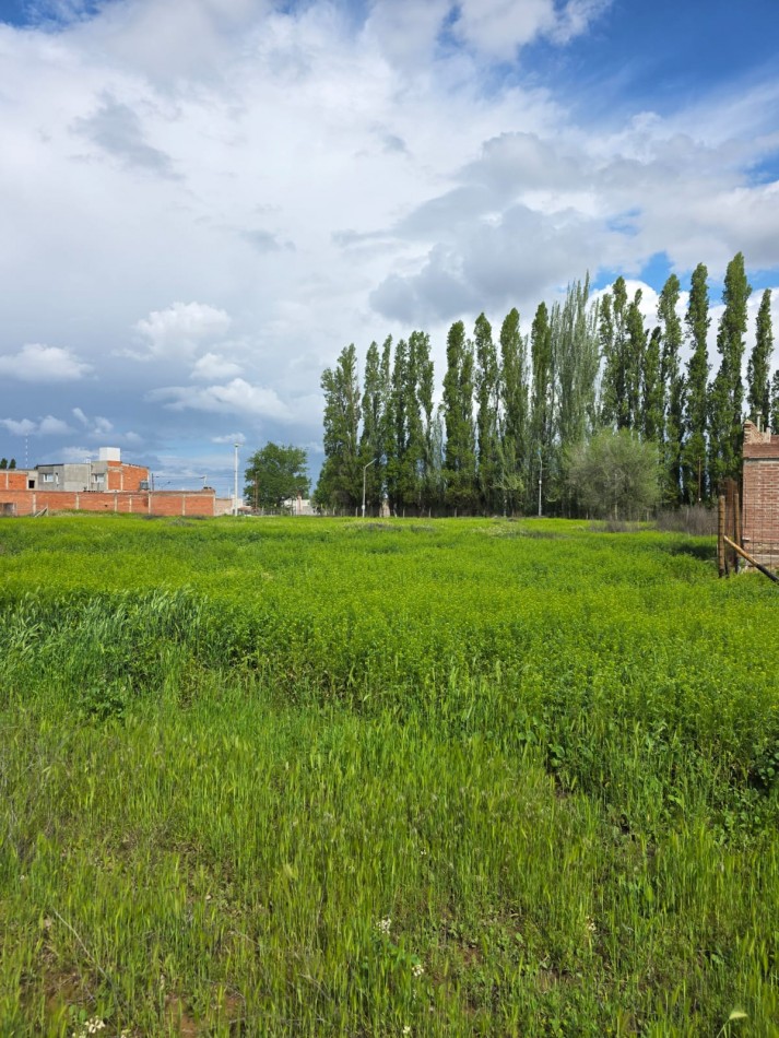 Lote en Venta - Pomona y Los Incas - Barrio Confluencia