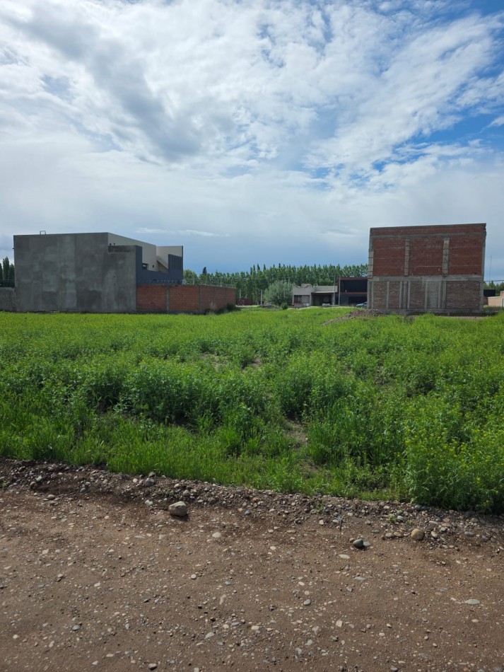 Lote en Venta - Pomona y Los Incas - Barrio Confluencia