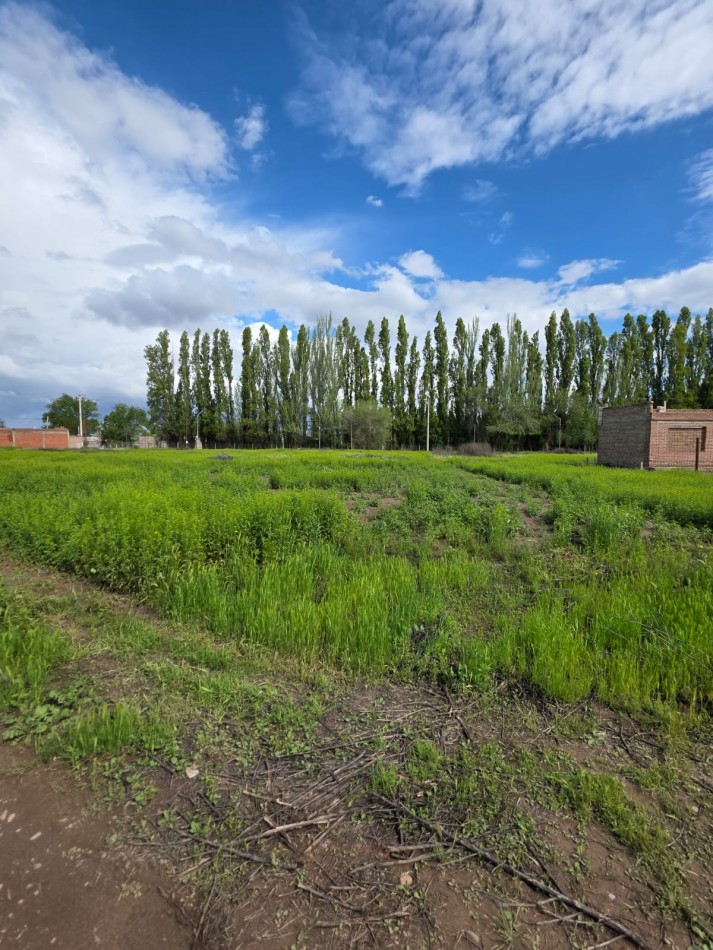 Lote en Venta - Pomona y Los Incas - Barrio Confluencia