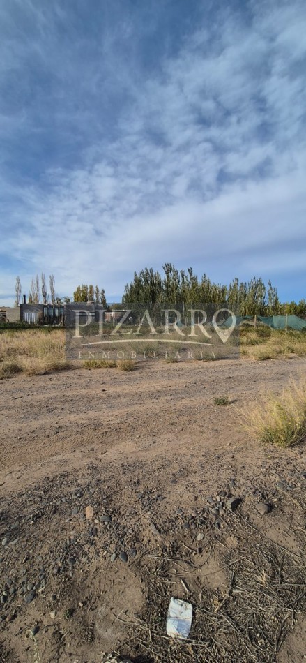 Venta Lotes en Barrio El Vergel (entre Neuquen y Centenario)